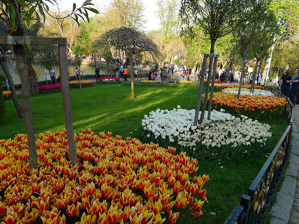 l Tulip time in Istanbul